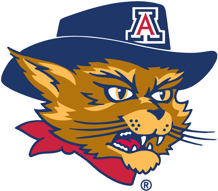 Arizona Wildcats 2003-Pres Mascot Logo v6 diy fabric transfer